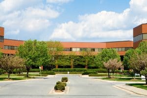 Building and low trees