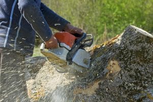 Man cuts a fallen tree